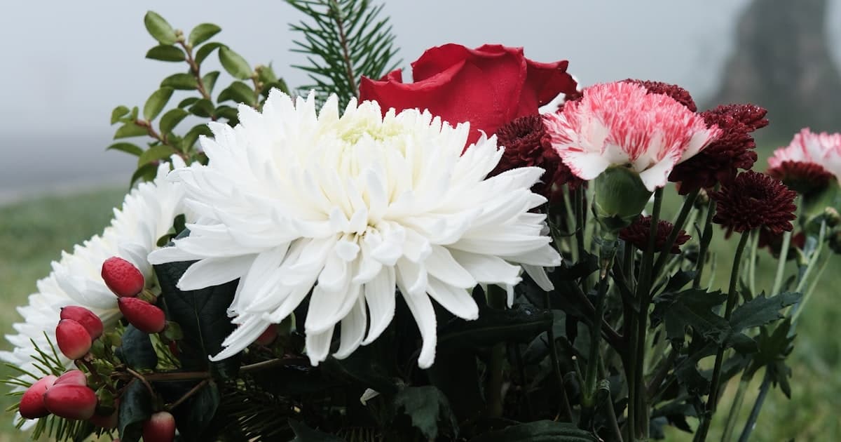 直葬のメリット・デメリット｜費用相場と注意点