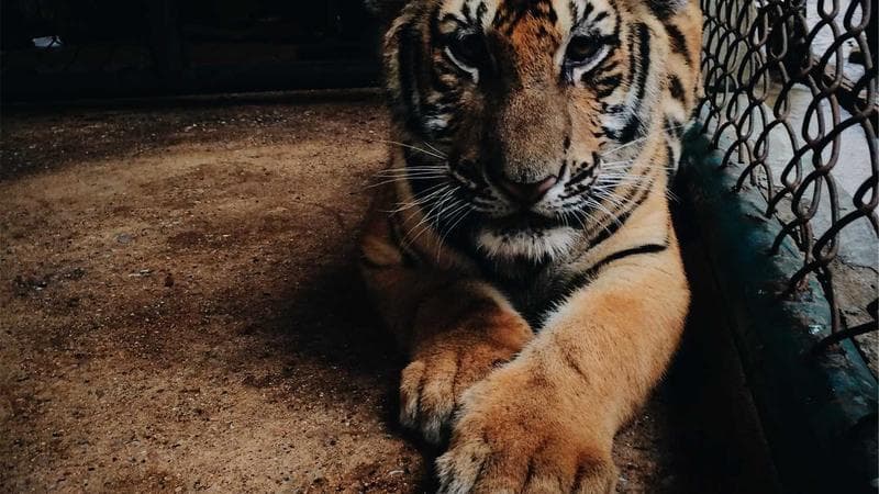 海洋散骨のイメージ、穏やかな海上での別れ