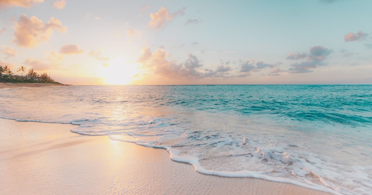 自然の中で行われる散骨のイメージ